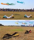 雙飛鳳――風箏舞蹈
