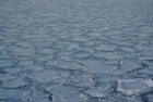 哇塞 密西根湖結了厚厚的冰