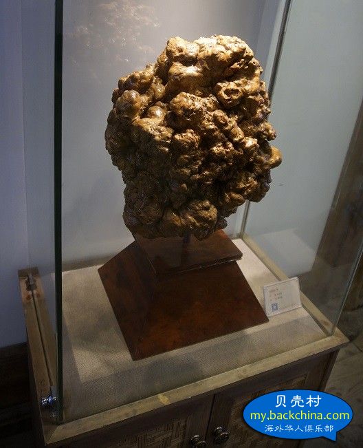 美, 林劍波, 楠目瘤